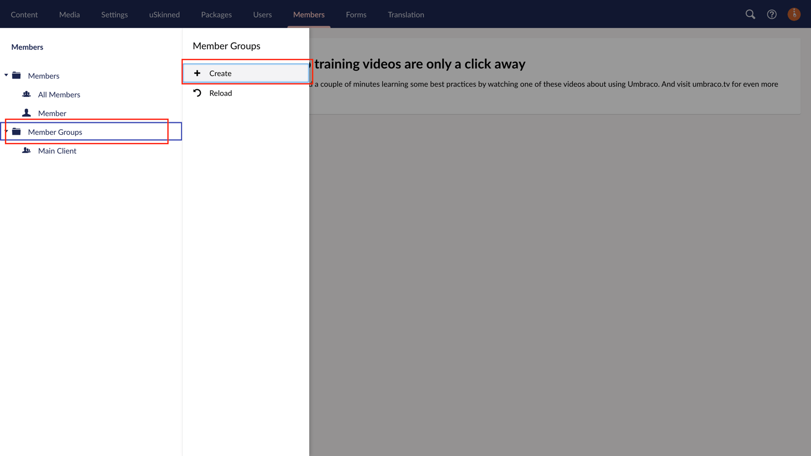 Create member group in uSkinned for Umbraco.