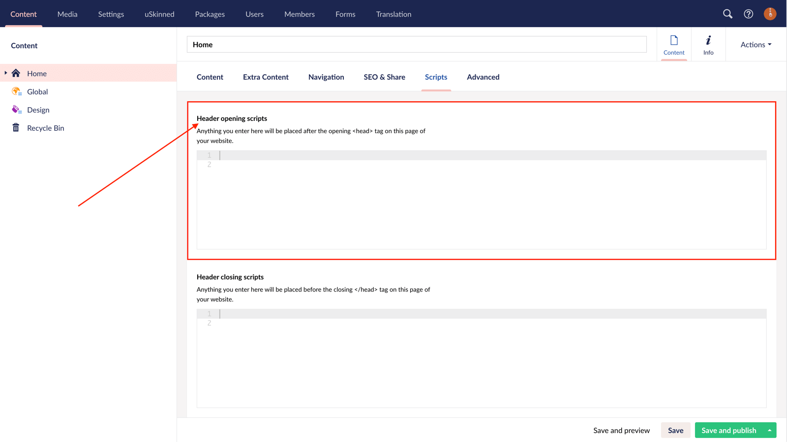 New custom script options in uSkinned for Umbraco CMS.