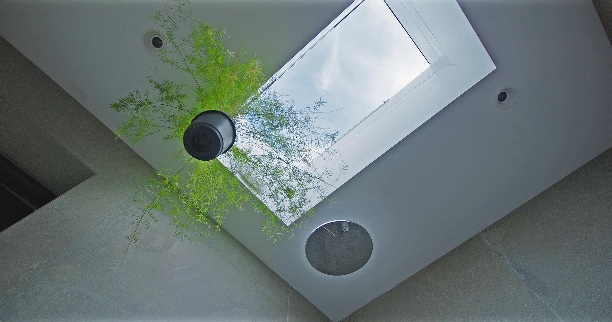 Skylight, hanging fern and rain shower in the wet room at Fernleigh Courtyard holiday cottage in the Wye Valley.