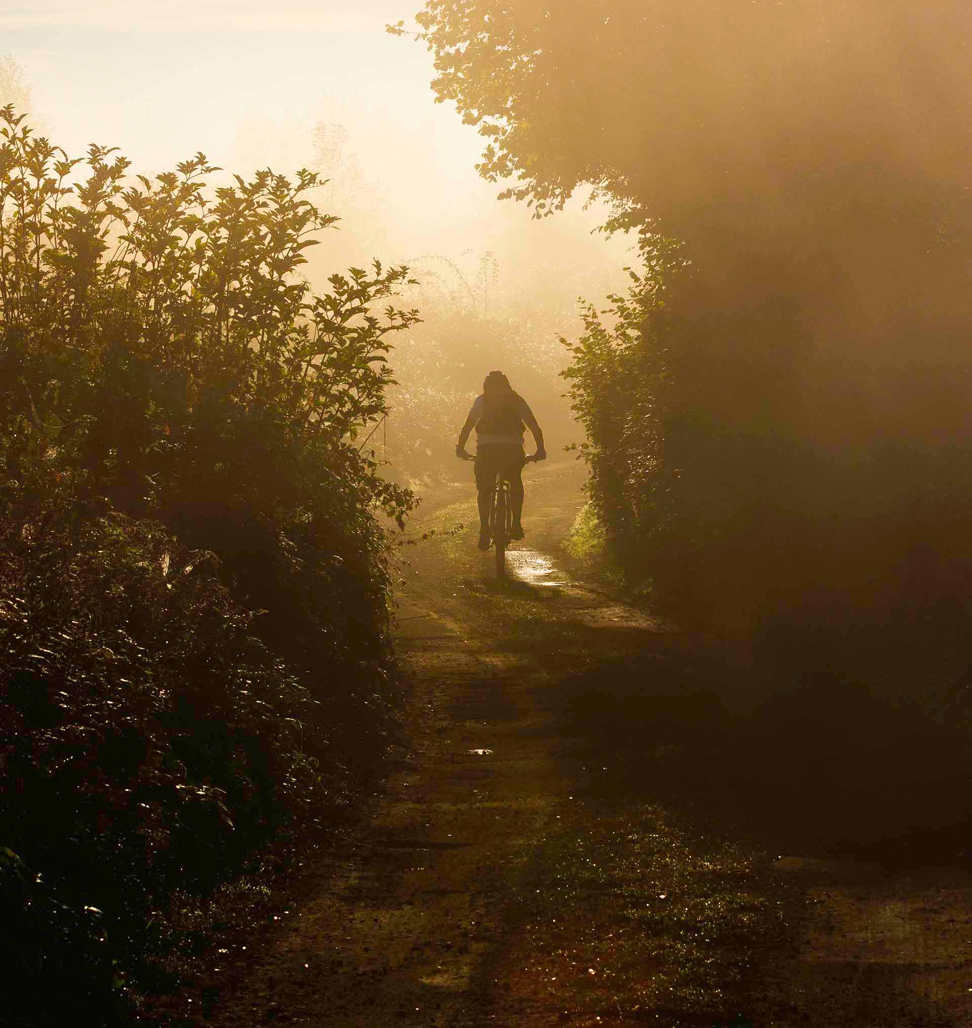 An atmospheric image of a silhouetted cyclist on a narrow lane around the lower Wye Valley in the early morning misty sunshine.